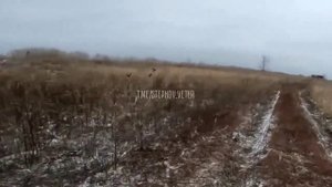 У хохлов все норм...Своих бросают.