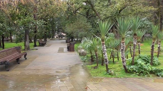 Из Питера в Сочи-10