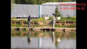 Платная рыбалка