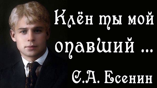 Клен ты мой Опавший ... С.А. Есенин | Красивые Стихи смотреть онлайн