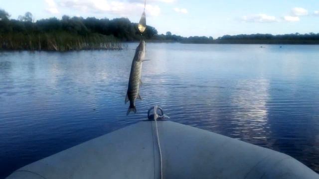 Поймал-отпусти. смотреть онлайн