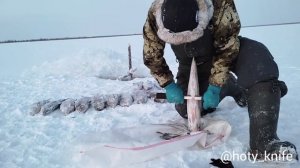 Как правильно и каким ножом готовить строганину
