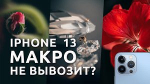 Макро режим на iPhone 13 просто ШЛЯПА! НО есть решение