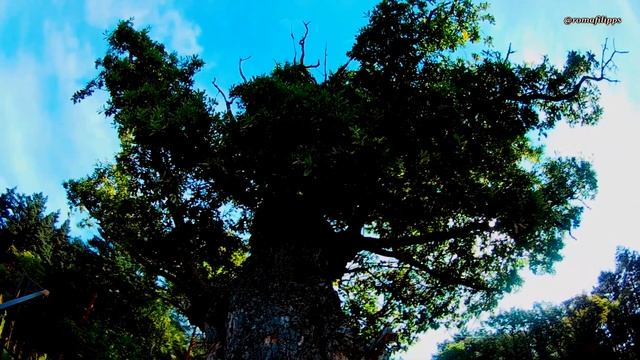 Жабынский мужской монастырь. смотреть онлайн