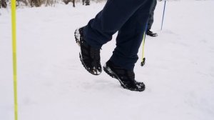 Северная ходьба. Разминка.