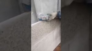 Пропил в граните