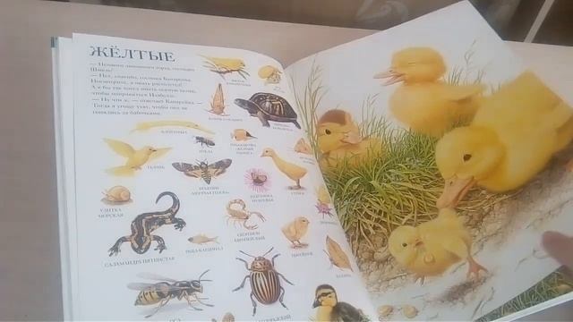 Большой атлас животных. Издательство Стрекоза.