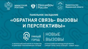 Панельное заседание «Обратная связь — вызовы и перспективы»