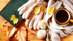 Ирина Богушевская - "Шарманка-Осень"