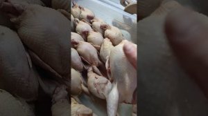 Какую породу перепелок выбрать. Преимущества Феникса.#перепела #феникс #ферма