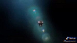 Клип ту ту туру