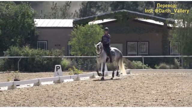 Принимание. Обучение лошади смотреть онлайн