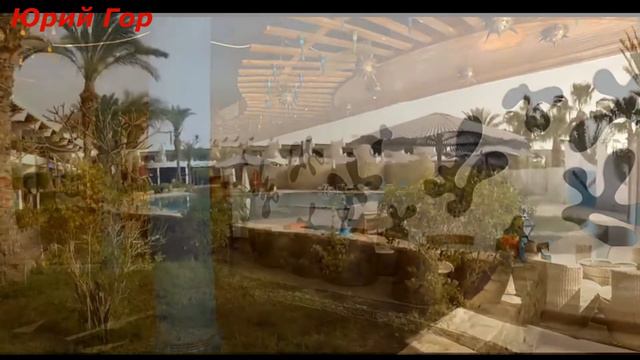 Отзыв отдыхающего! Отель Turquoise Beach Hotel 4*! Egypt! Sharm El Sheikh!