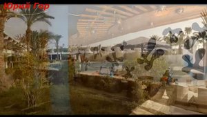 Отзыв отдыхающего! Отель Turquoise Beach Hotel 4*! Egypt! Sharm El Sheikh!