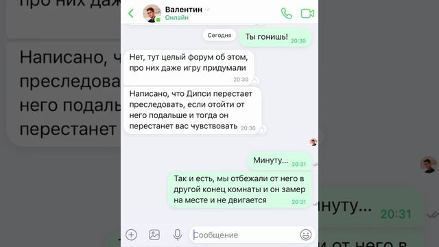 Бегиии! ЭТО СЛЕНДИПУЗИКИ! смотреть онлайн