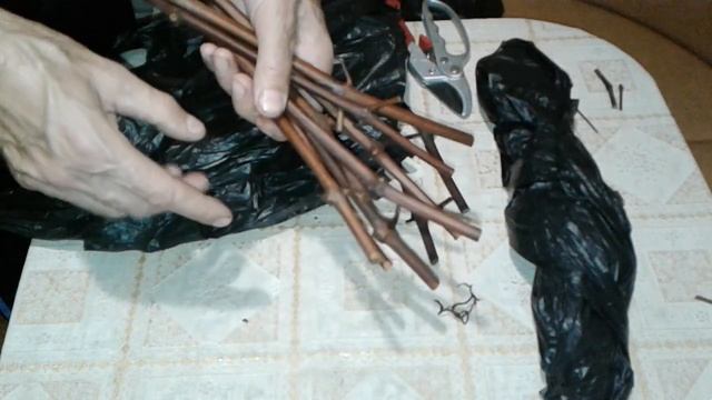 Хранение Черенков Винограда . Проверенный способ .