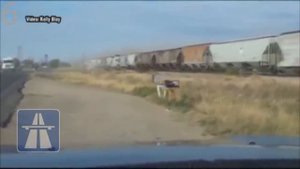 Поезда мне нипочём [Аварии на переездах #1]