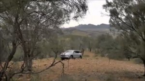 TOYOTA 4RUNNER VS PRADO VS FORTUNER ! ALL 3 MIDSIZE SUVS TOYOTA MAKES