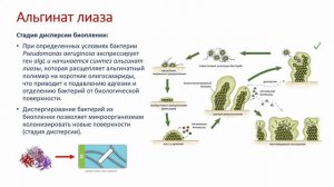 Вебинар: "Современные технологии использования ферментов в дезинфекции".
