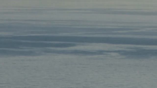 Если нет влюбленности к девушке.Священник Игорь Сильченков. смотреть онлайн