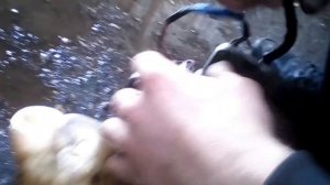 Замена поршневых колец и сальников на б/триммере штурм 33 в кустарных условиях.