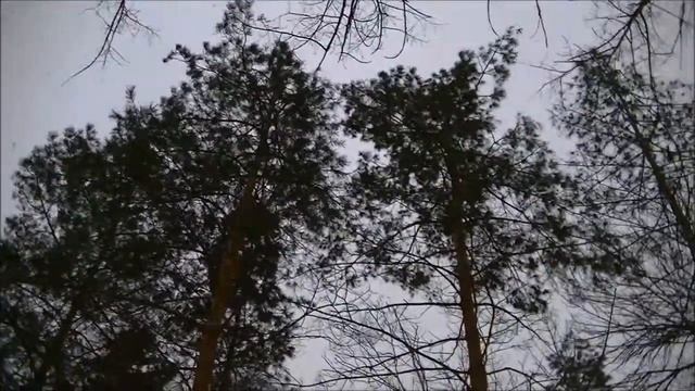 Cнегопад в городе Волжский Волгоградской области