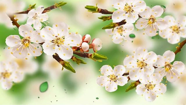 10 часов расслабляющей музыки — фортепианная музыка, позитивная музыка, учебная музыка
