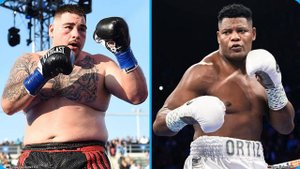 Мнение дилетанта. Энди Руис - Луис Ортис. Молодость победит?