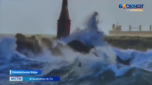 Кипарисы у озера Сукко под Анапой украсили аэропорт Минвод и набережную в Костроме смотреть онлайн