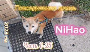 Повседневная жизнь NiHao часть 1-25