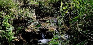 Расслабляющие звуки природы, журчание источника, Медитация-вода, Нежные звуки источника,