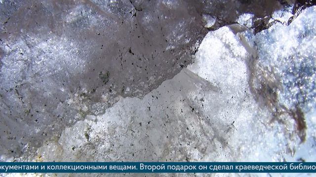 Коллекция Музея природы и фонд краеведческой библиотеки пополнились редкими экспонатами / Телекон смотреть онлайн