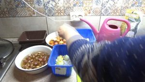 Зелень на подоконнике без мошек и неприятного запаха. Зеленый лук и чеснок. Серебромедин, агроперли