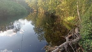 Разозлил бобра не на шутку) Разобрал плотину бобра