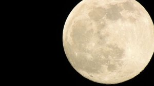 Убегающая Луна, сегодня  8 февраля 2020, снимал луну почти 2 часа, но кроме красивый луны ничего