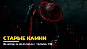 Diablo 4
Некромант Суммонер
Старые Камни (Уровень 78)