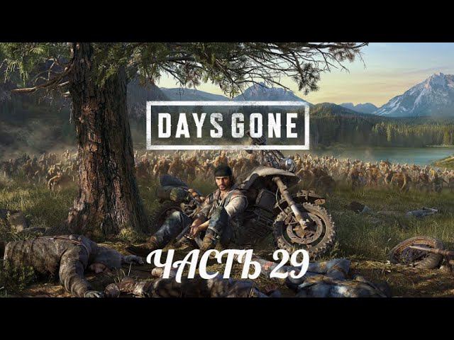 Days Gone / Жизнь после. Часть 29.