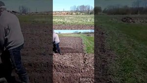 Как правильно нарезаются борозды мотоблоком