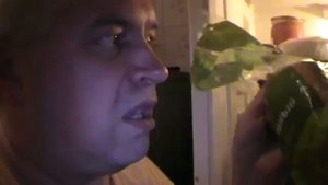 Геннадий Горин - История одного холодильника (все версии)