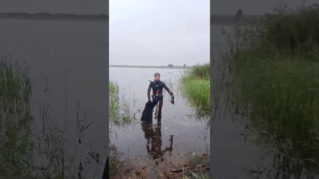 Підводна охота в Україні .