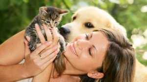 Берегите животных