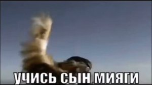 Вставка | Учись сын мияги