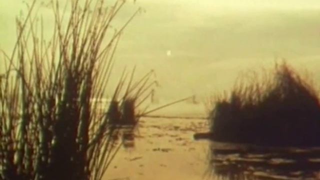 Хор Верьовки - На городі верба рясна смотреть онлайн