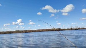 Фидер на волге, Много плотвы