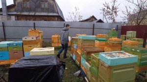 Улей ППУ Нижегородец. Черный пакет защита от птиц!!!