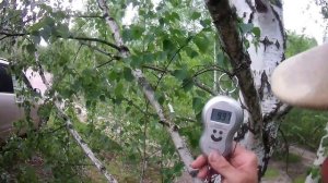 Рыбалка с арбалетом. Часть 2