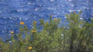 музыка о воспоминаниях