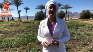 Бисмиллях - что это значит? Смысл, перевод, значение