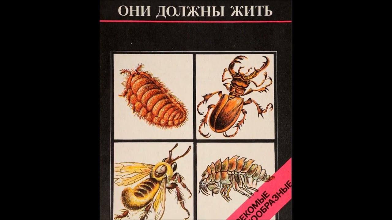 По страницам Красной книги смотреть онлайн
