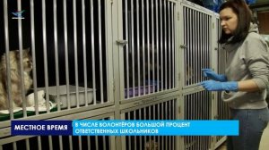 «Лучик» - центр помощи бездомным животным